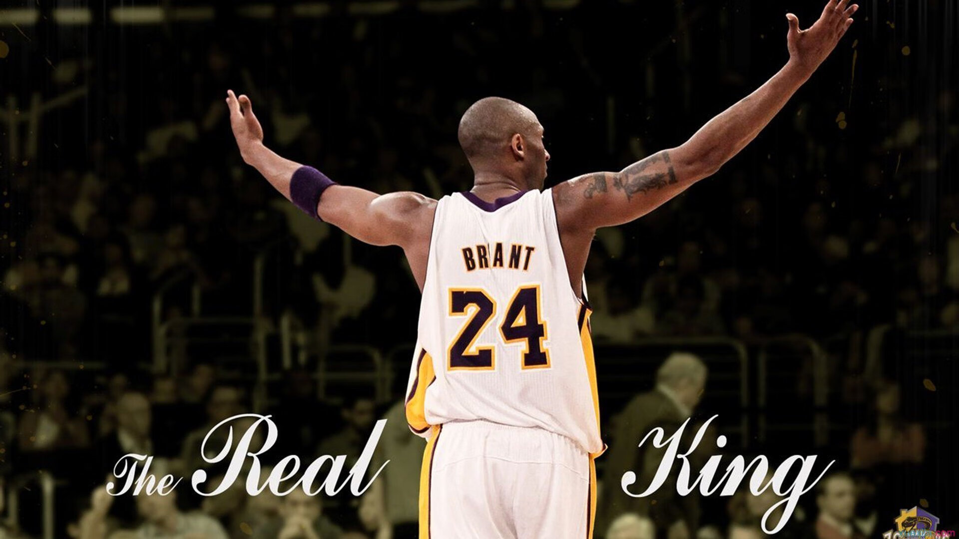 美洲杯爆发瞬间：英雄时刻成就奇迹，美洲杯报道